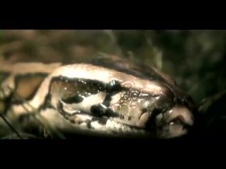 power metal group symphony x: serpents kiss (official video) (2007)